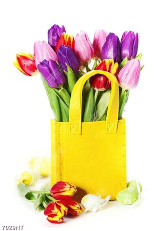 Tranh hoa tulip 7029NT