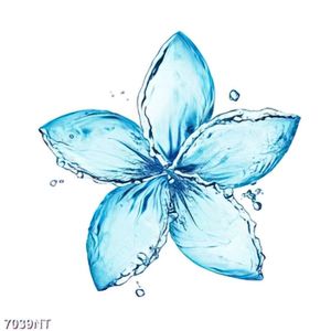 Tranh hoa nước nghệ thuật 