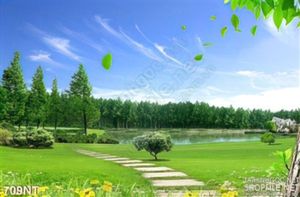 Tranh con đường trên đồng cỏ xanh