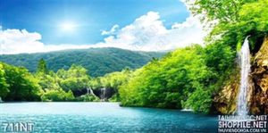 Tranh thác nước trên dòng sông trong rừng