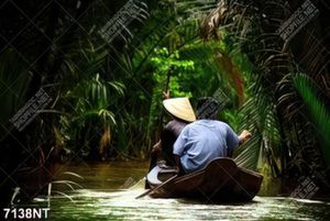 Tranh sông nước miền tây 7137NT