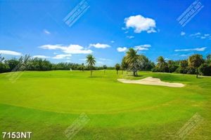 Tranh sân golf đẹp 7153NT
