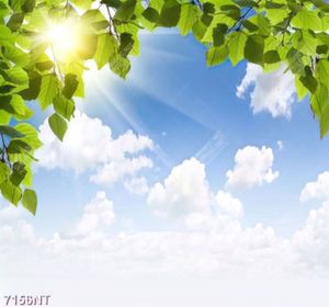 Tranh bầu trời xanh mây trắng 
