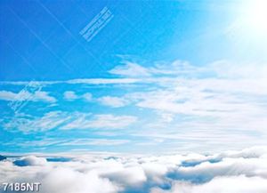 Tranh bầu trời xanh mây trắng 7185NT
