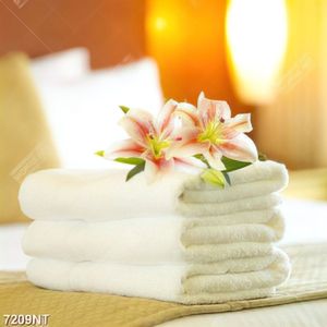 Tranh khăn trắng và hoa ly
