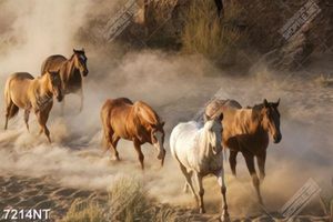 Tranh ngựa chạy trên bãi cát