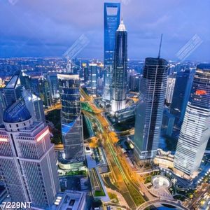 Tranh thành phố phát triển 7229NT