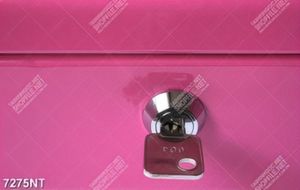 Tranh cánh cửa màu hồng