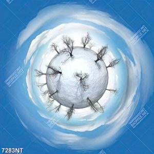 Tranh quả cầu tuyết 7283NT