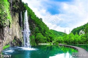 Tranh thác nước trong rừng