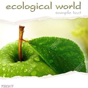 Tranh ecological world