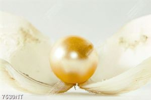 Tranh hạt ngọc trai