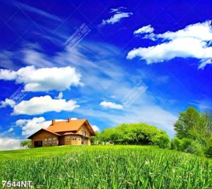 Tranh phong cảnh thiên nhiên 7544NT
