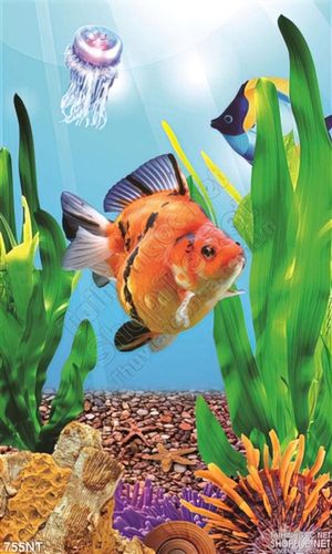 Tranh cá heo và san hô ở đại dương