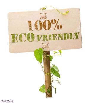 Tranh 100% Eco Friendly