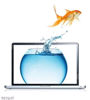 Tranh chậu cá cảnh nghệ thuật 7619NT
