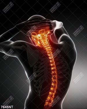 Tranh nghệ thuật cơ thể con người 7645NT