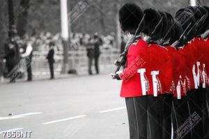 Tranh đội lính gác hoàng gia Anh