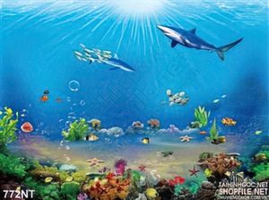 Tranh cá mập đại dương