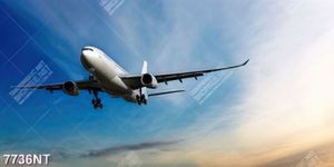 Tranh máy bay trên bầu trời 7736NT