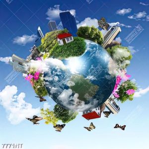 Tranh nghệ thuật trái đất 7771NT