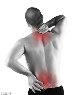 Tranh cơ thể đau nhức 7828NT