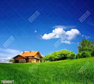 Tranh ngôi nhà trên đồi cỏ xanh 7896NT