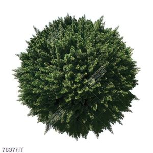Tranh nghệ thuật quả cầu cây xanh 7897NT