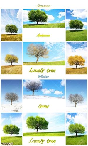 Tranh bộ ghép lonely tree 7915NT