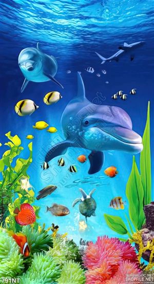 Tranh cá heo trang trí tường