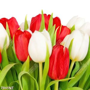 Tranh hoa tulip 7941NT