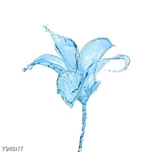 Tranh nghệ thuật hoa nước 7946NT