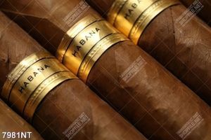 Tranh xì gà Habana 7981NT
