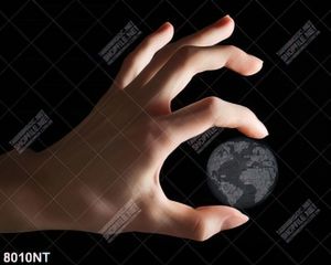 Tranh nghệ thuật trái đất 8010NT