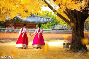 Tranh sứ sở kim chi Hàn Quốc 8020NT