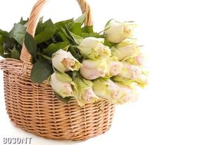 Tranh giỏ hoa hồng 8030NT