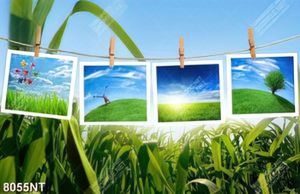 Tranh phong cảnh thiên nhiên đẹp 8055NT