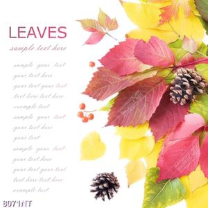 Tranh Leaves 8071NT