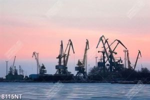 Tranh cảng biển 8115NT