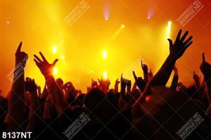 Tranh bữa tiệc âm nhạc 8137NT