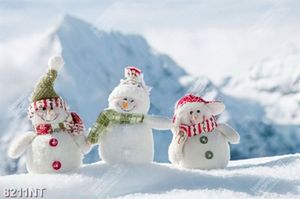 Tranh noel 8211NT