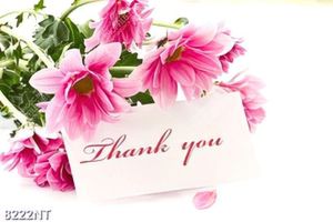Tranh thank you 