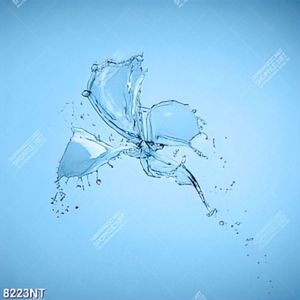 Tranh hoa nước nghệ thuật 8223NT