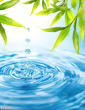 Tranh giọt nước nghệ thuật 8265NT