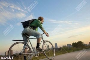 Tranh chàng trai lái xe đạp 