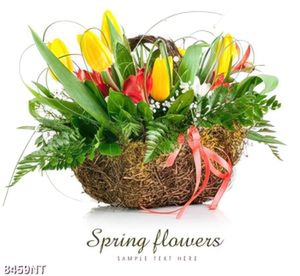 Tranh spring flowers