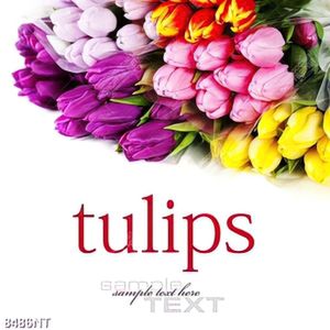 Tranh hoa tulip đẹp 8486NT
