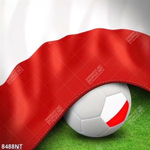 Tranh màu cờ đất nước Ba Lan