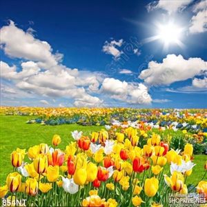 Tranh cánh đồng hoa tulip