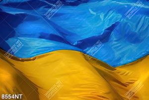 Tranh quốc kỳ Ukraina
